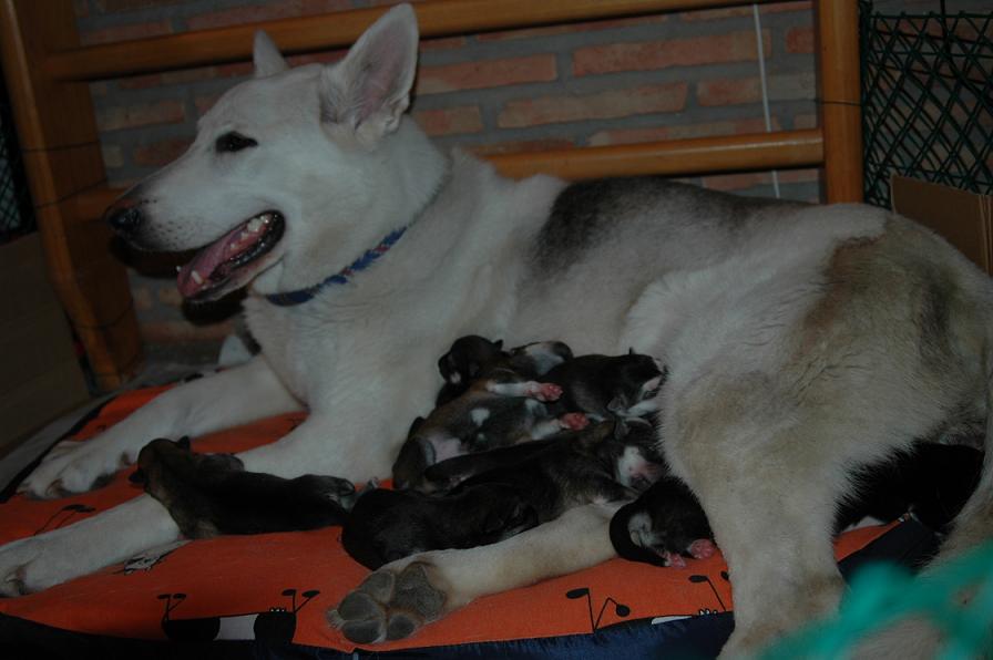 fotos jorge 196.JPG